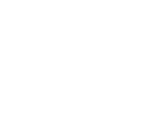 Logo VIGHILE